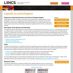 Breast Cancer Signaling Responses - HMS LINCS Project
