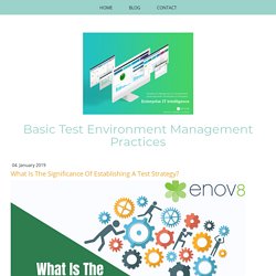 What Is The Significance Of Establishing A Test Strategy? - testenvironmentmanagement