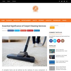 Essential Significance of Carpet Cleaning Services