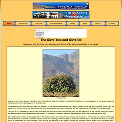 The Olive Tree - Significance through history of Greece and Crete
