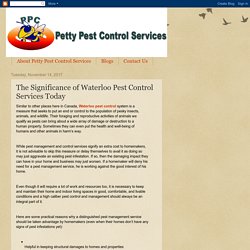 The Significance of Waterloo Pest Control Services Today