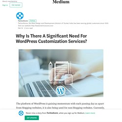 Why Is There A Significant Need For WordPress Customization Services?