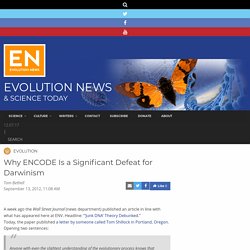 Why ENCODE Is a Significant Defeat for Darwinism