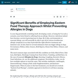Significant Benefits of Employing Eastern Food Therapy Approach Whilst Preventing Allergies in Dogs: sidebysidepet — LiveJournal