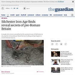 Silchester Iron Age finds reveal secrets of pre-Roman Britain