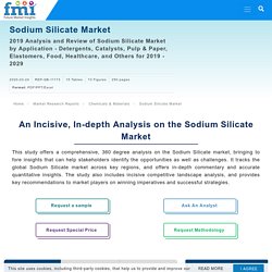 Sodium Silicate Market Analysis and Review 2019 - 2029