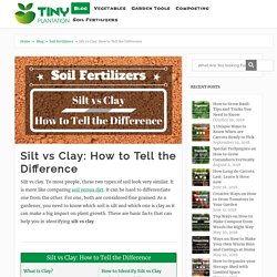 Silt vs Clay: How to Tell the Difference - www.TinyPlantation.com