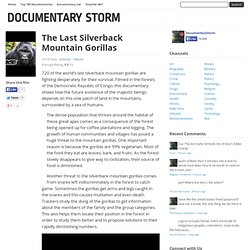 The Last Silverback Mountain Gorillas