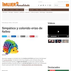 Simpático y colorido erizo de fieltro