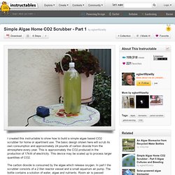 Simple Algae Home CO2 Scrubber - Part 1