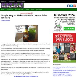 Simple Way to Make a Double Lemon Balm Tincture Recipe