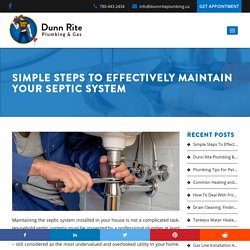Simple Steps To Effectively Maintain Your Septic System