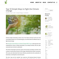 Top 10 Simple Ways to Fight the Climate Change