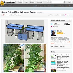 how to build a simple ebb and flow hydroponic system