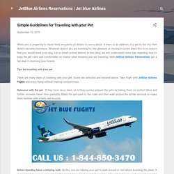 Simple Guidelines for Traveling with your Pet