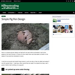 Simple Pig Pen Design - Thehomesteadingboards.com