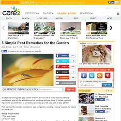 5 Simple Pest Remedies for the Garden
