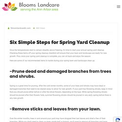 Six Simple Steps for Spring Yard Cleanup - BLOOMS LAND CARE