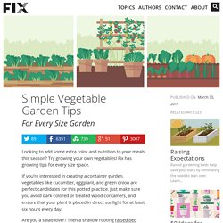 Simple Vegetable Garden Tips