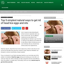 Top 5 simplest natural ways to get rid of head lice eggs and nits – Holistic Healing Natural
