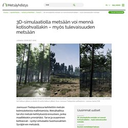 3D-simulaatiolla metsään voi mennä kotisohvallakin – myös tulevaisuuden metsään – Suomen Metsäyhdistys ry