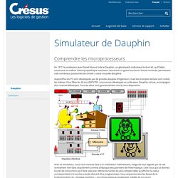 Simulateur de Dauphin