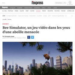 Bee Simulator, un jeu vidéo dans les yeux d'une abeille menacée