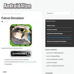 Falcon Simulator Android APK Free Download - Android4Fun