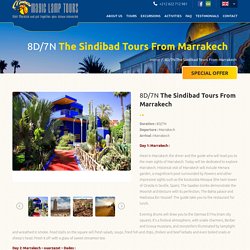 8D/7N The Sindibad Tours From Marrakech - Magic Lamp Tours