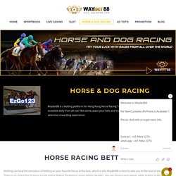 Online Horse Racing Odds Singapore