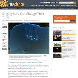 Singing Mice Can Change Their Tune