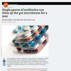 Single course of antibiotics can mess up the gut microbiome for a year