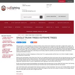 Single Trunk Trees VS Frame Trees - Nida Lighting