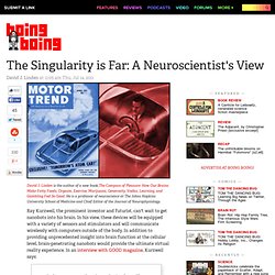 The Singularity is Far: A Neuroscientist's View