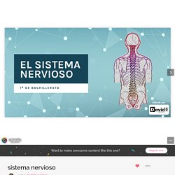 sistema nervioso by David Pérez Villena on Genial.ly