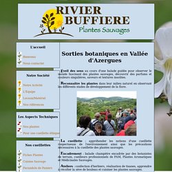 Site de la SCP Rivier-Buffiere