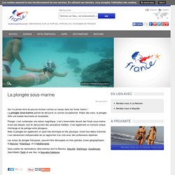 Site Officiel du Tourisme en France