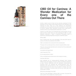 CBD Oil for Canines: A Wonder Medication for Every one of the Canines Out There