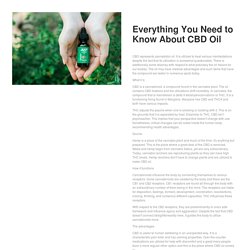 Everything You Need to Know About CBD Oil