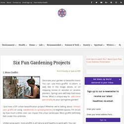 Six Fun Gardening Projects
