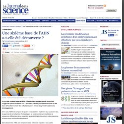 Une sixième base de l'ADN a-t-elle été découverte ? › Génétique