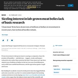 Sizzling interest in lab-grown meat belies lack of basic research