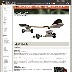 Skateboard Anatomy