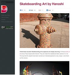 Skateboarding Art by Haroshi