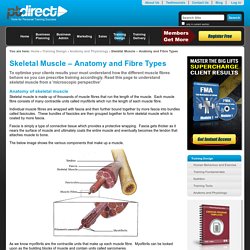 Skeletal Muscle – Anatomy and Fibre Types — PT Direct