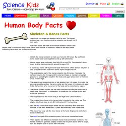 Fun Skeleton & Bones Facts for Kids - Information about the Human Skeletal System