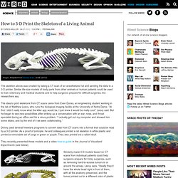 How to 3-D Print the Skeleton of a Living Animal
