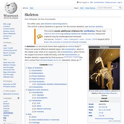 Skeleton - Wikipedia