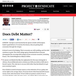 "Does Debt Matter?" by Robert Skidelsky
