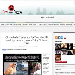 China Dog Skinned Alive